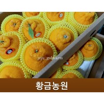 고당도 하우스 한라봉 명절세트 한시적 무조건 당일발송 당도보장, 선물고급5kg특대과(12~13과)