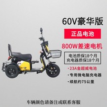 전동 삼륜차 세발 전기 스쿠터 세발전기차, 48V, 800w 럭셔리 에디션 60v23a 배터리