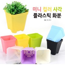 미니 컬러 사각 플라스틱 화분 소 - 핑크, 소 - 투명