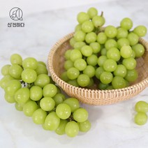 경북 김천 상주 고당도 샤인머스켓 1.5kg 2kg, 경북고당도샤인머스켓2kg3-4수