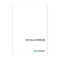 우현 OA상장용지 무지 NO.03 백색상장 100매