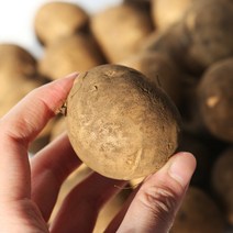 [팔도농장] 햇 수미감자(조림용) 3kg, 단품