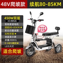 트렉 세발 전기 자전거 배달 팻바이크 삼륜 클래식 전동 성인 2인용 유아동승 어르신 짐받이, 48V, 48V듀얼/리튬배터리20A/원터치작동/80km