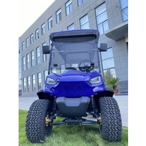 골프장카트 전동카트 전기카트 4 2 인승 장애인 골프 카트, [04] 8 seat