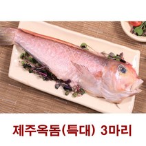 제주바다 특대형 참옥돔 2호 세트 돔구이 건강반찬, 본상품