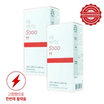 L아르기닌 고함량 5000mg 시트루 엘아르기닌 효능 운동전 헬스부스터 20g x 15포 2박스
