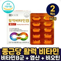 종근당 활력 비타민B 플러스 8종복합 수용성 비타민 클로렐라 블루베리 채소 농축 혼합 분말 건강기능식품, 2박스, 활력비타민B 플러스 X 60정