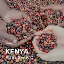 [생두] 케냐 케리초 AA FAQ 10kg