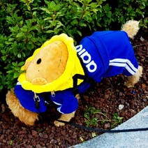 어흥이 강아지하네스 백팩/ 배낭/ 목줄 (S/M/L), 하늘어흥이_M