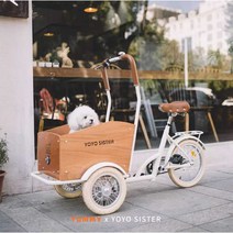 강아지 자전거 애견 개모차 산책 펫 트레일러 반려견, A
