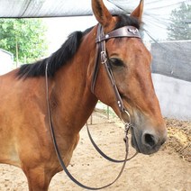 말 재갈 고삐 세트 마방굴레 승마용품 전문가 로프 보호장비 훈련 용품 하네스, 단일사이즈, 플라잉이글커피 작은말