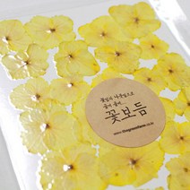 [바보사랑] 꽃보듬(압화)_수국(5컬러), 컬러:빨강, 상세 설명 참조