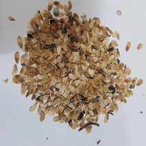 더덕씨앗50g, 1개