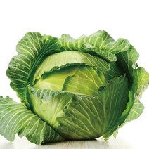 유기농샵 국내산 유기농 양배추, 2kg, 1개
