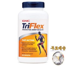미국산 지앤씨 트리플렉스 패스트액팅 240정 글루코사민 콘드로이친 MSM 터메릭 GNC TriFlex 선물증정