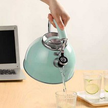2.5L 주방 주전자 차 커피 물 끓이기 캠핑용 가정용 업소용 인테리어, 민트