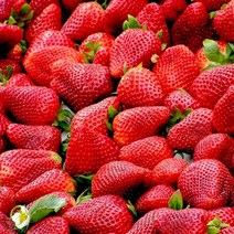 [캔들이케아] 딸기 플레이버오일 FL.O 립밤향료, 500ml