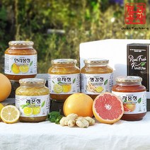 견과공장 수제과일청 제주 한라봉청 950g, 상세 설명 참조, 단일옵션