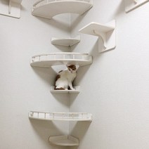 벽 구석탱이 캣워커 4단 - 원목 고양이 타워 폴 선반 구름다리 투명 놀이터