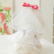 PET 강아지 화동 드레스 웨딩 촬영 원피스 베일 세트 강아지 드레스 애견 원피스 화동 웨딩촬영, 02-드레스베일세트-M