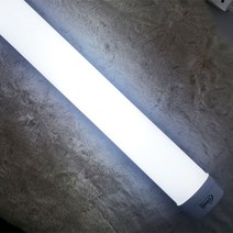 동양 LED 방습등 60W 1200mm IP65 터널등 급실소 급식실 식품공장 공장 축사, 동양 코넬 LED 방습등 60W 1200mm IP65