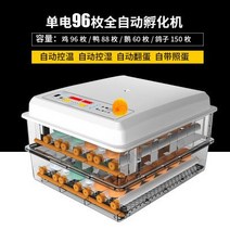 부화기 입문용 2021년 신상품 조류 자동 부화 병아리 계란부화기 36란 실험, 12. 계란부화기 96란