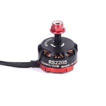 RS2205 2205 2300KV CW CCW 브러시리스 모터 LittleBee 20A/30A BLHeliS ESC for FPV RC QAV250 X210 레이싱 무인 항공기, 02 RS 2205 CCW 1PCS