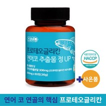 식약처 인증 프로테오글리칸 연어코 추출물 정 UP 구절초 보스웰리아 (알약케이스 사은품), 4통, 60정