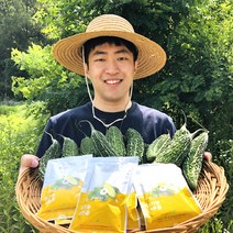 유어네이처 건강아띠 유기농 여주즙 40포 60포 90ml