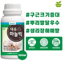 대유 마늘빅 500ml 마늘 구근 비대제 전용 비료 영양제, 단품