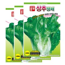 아시아종묘/상추종자씨앗 아삭이상추 생채 1500립*3개 (LMV Free), 3개