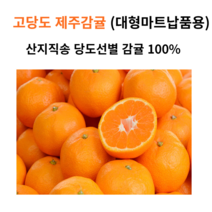 새콤달콤 고당도 감귤 제주직송 가정용 밀감 선물용 귤 3KG 5KG 10KG, 10kg 중대과 (마트납품용)