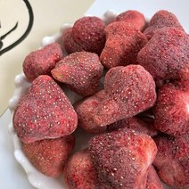 오쇼마켓 동결칩 동결과일칩 동결건조딸기 100g