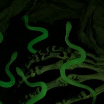 럭셔리할로윈 리얼장식 뱀모형 한팩 [야광]