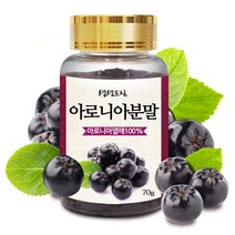 아로니아 분말 가루 70g 국산 국내산, 1개, 단품
