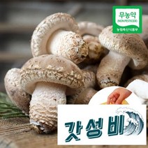 무농약 송이향 송화고버섯 GIFT(특품)900g