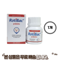 아조딜 신장 로티백 유산균 강아지영양제 Azodyl, 1통 90캡슐