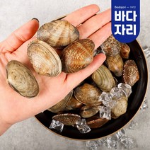 당일어획 남해안 다이버 자연산 바지락, 일반 바지락 1kg