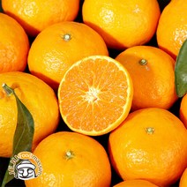 블루제주 서귀포 귤로향 5kg (중과 26-38과 실속포장 실중량), 단품