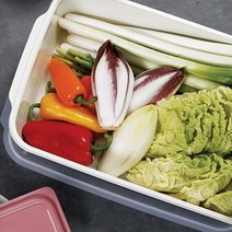 CAILOOM 상추 쌈 과일 채반 냉장고 냉동실 보관 정리 용기 6.5L, 기본, 기본