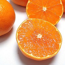신품종 고당도 제주 설국향 수라향 신비향 당도선별 제주감귤, 2kg, 1개