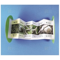 누에의 한살이 5인/과학 실험 키트 교구 도구 만들기