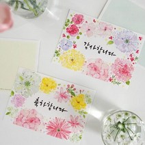 감사 축하 엽서 생일 기념일 마음 전달 메시지 카드