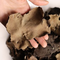 자연산 강원도 태백산 건재 석이버섯 120g, 1개