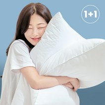 플랫화이트 호텔납품 휴비스정품 알러지케어 향균 마이크로화이바 베이직 베개 1+1