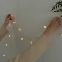 원룸인테리어 LED 앵두 줄 조명 전구(3/6/10M) 줄줄이 차박 옥상 무드 등, 6M 40구