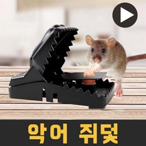 월드그린 악어쥐덫, 1개