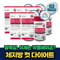 팔뚝살 다이어트 보조제 콜레우스포스콜리 체지방감소 비움샵 5개월분 남자 여자 결혼준비 예비신부 내장지방 뱃살 허벅지살 속성 한달 2주 컷팅 살빼는법 식약처인증 추천