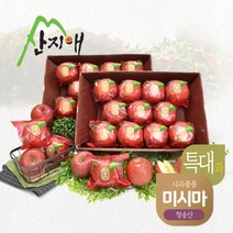 산지애 씻어나온 꿀사과 4kg 2box (특대과) 청송산 미시마 당도선별