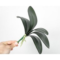 메탈요요 매직요요 고속 금속 요요 YO CHO 잡초 가지 플라스틱 녹색 식물 꽃 인공 시뮬레이션 잎 장식 난초, 01 Green_01 artificial flower